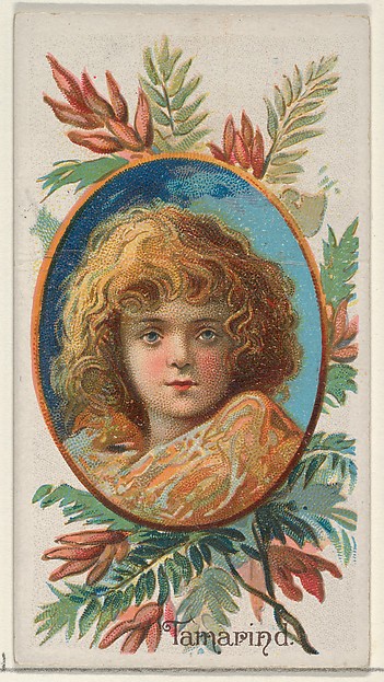 Tamarind, from the Fruits series (N12) for Allen & Ginter Cigarettes Brands