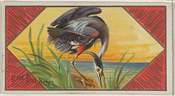 Great Blue Heron, from the Game Birds series (N13) for Allen & Ginter Cigarettes Brands