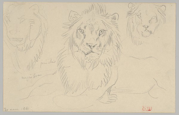 A Lion, Full Face, August 30, 1841
