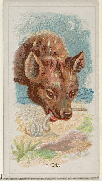 Hyena, from the Wild Animals of the World series (N25) for Allen & Ginter Cigarettes