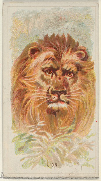 Lion, from the Wild Animals of the World series (N25) for Allen & Ginter Cigarettes