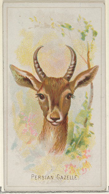 Persian Gazelle, from the Wild Animals of the World series (N25) for Allen & Ginter Cigarettes