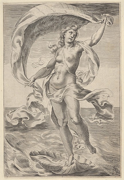 Venus on a half-shell, holding fabric over her head