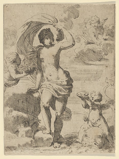 Venus stepping out of the sea, holding a billowing drapery in her left hand, Cupid at right offering pearls while riding a dolphin and a putto at left offering flowers, another in the clouds