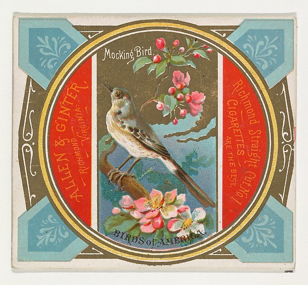 Mockingbird, from the Birds of America series (N37) for Allen & Ginter Cigarettes by Allen & Ginter, The Metropolitan Museum of Art
