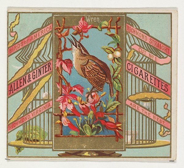 Wren, from the Birds of America series (N37) for Allen & Ginter Cigarettes
