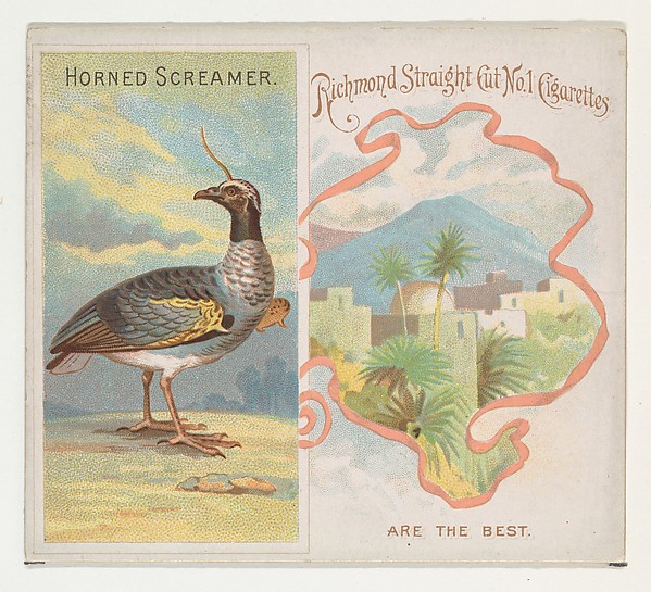 Horned Screamer, from Birds of the Tropics series (N38) for Allen & Ginter Cigarettes by Allen & Ginter, The Metropolitan Museum of Art