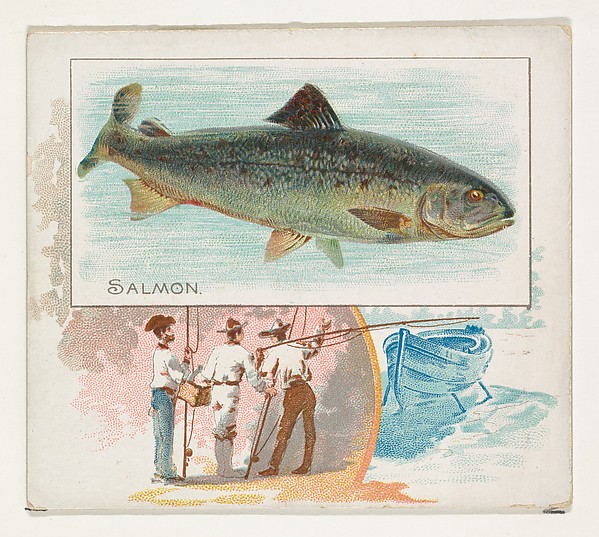 Salmon, from Fish from American Waters series (N39) for Allen & Ginter Cigarettes