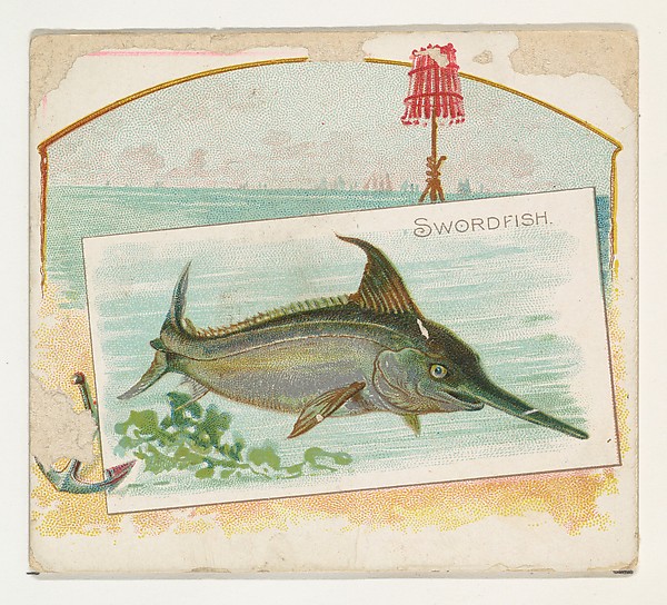 Swordfish, from Fish from American Waters series (N39) for Allen & Ginter Cigarettes