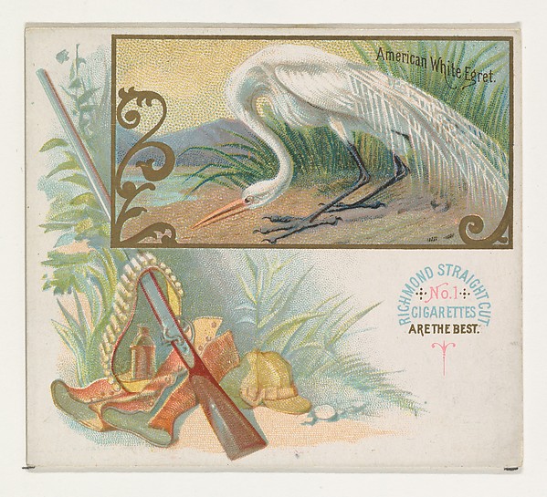 American White Egret, from the Game Birds series (N40) for Allen & Ginter Cigarettes by Allen & Ginter, The Metropolitan Museum of Art