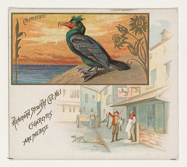 Cormorant, from the Game Birds series (N40) for Allen & Ginter Cigarettes