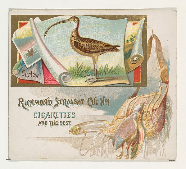 Curlew, from the Game Birds series (N40) for Allen & Ginter Cigarettes