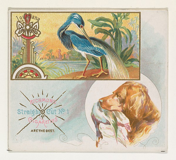 Louisiana Heron, from the Game Birds series (N40) for Allen & Ginter Cigarettes by Allen & Ginter, The Metropolitan Museum of Art