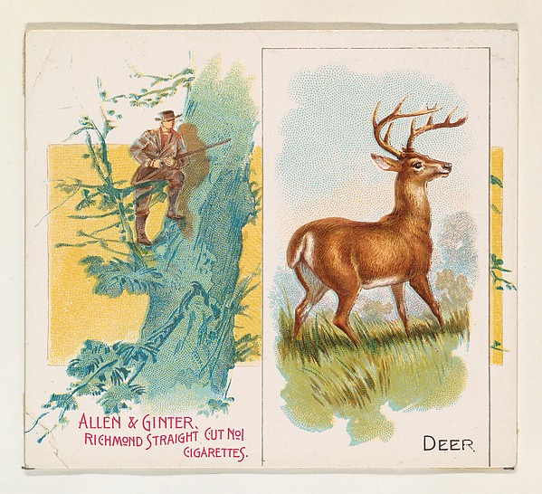 Deer, from Quadrupeds series (N41) for Allen & Ginter Cigarettes