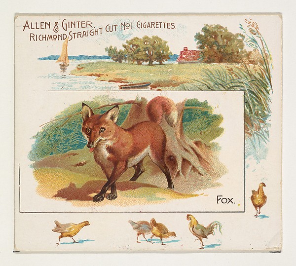 Fox, from Quadrupeds series (N41) for Allen & Ginter Cigarettes