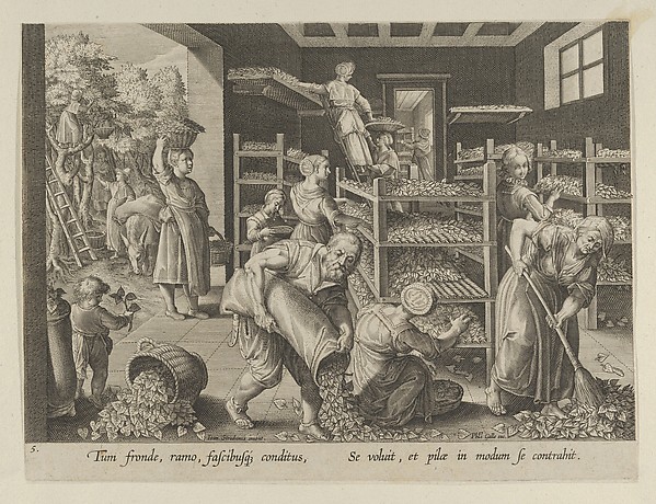 The Gathering of Mulberry Leaves and the Feeding of the Silkworms, Plate 5 from "The Introduction of the Silkworm" [Vermis Sericus]