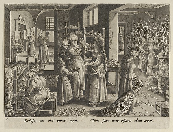The Silkworm Eggs Spread Out On Shelves, Plate 4 from "The Introduction of the Silkworm" [Vermis Sericus]