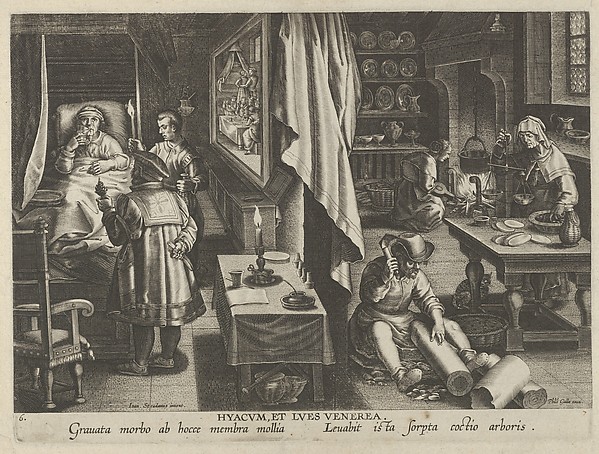 New Inventions of Modern Times [Nova Reperta], The Discovery of Guaicum as a Cure for Veneral Infection, plate 6