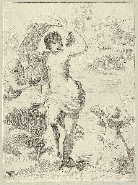 Venus stepping out of the sea, holding a billowing drapery in her left hand, Cupid at right offering pearls while riding a dolphin and a putto at left offering flowers, another in the clouds