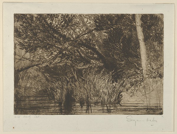 The Mouth of a Brook, No. 1