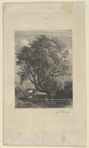 The Willow