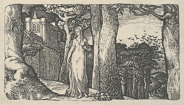 Lady with the Rooks