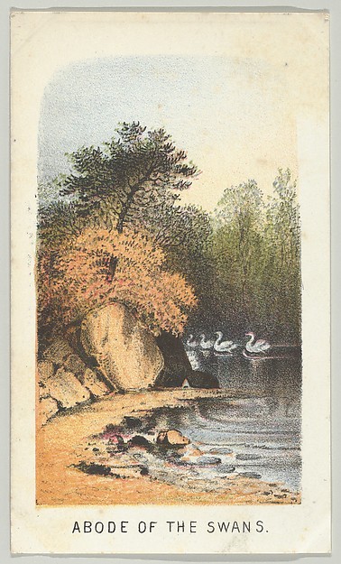 Abode of the Swans, from the series, Views in Central Park, New York, Part 2