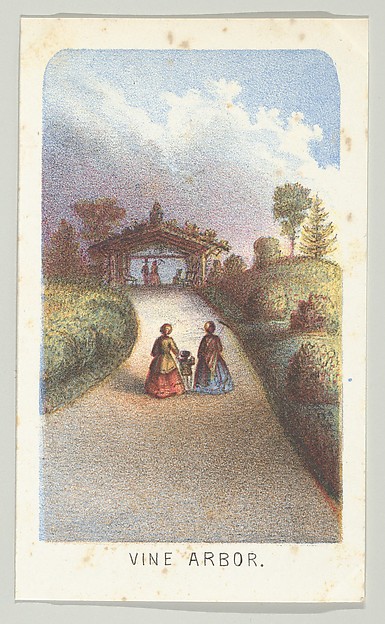 Vine Arbor, from the series, Views in Central Park, New York, Part 3