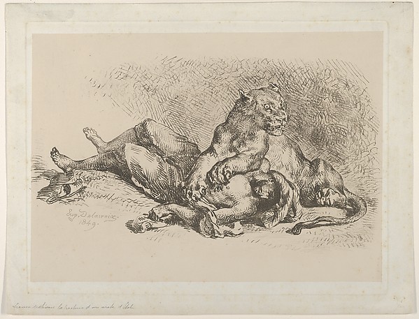 A Lioness Mauling the Chest of an Arab