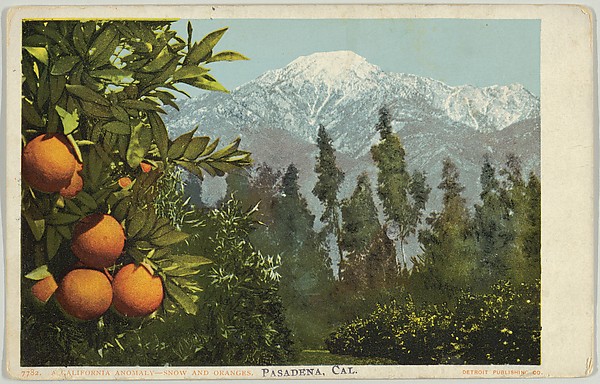 A California Anomaly, Snow and Oranges, Pasadena, California, No. 7782