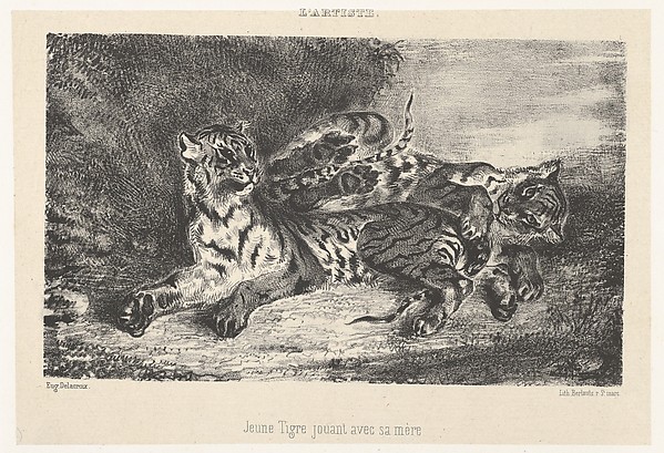 Young Tiger Playing with Its Mother