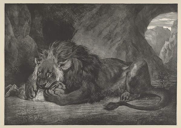 Lion of the Atlas Mountains