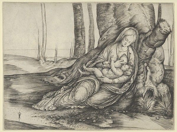 The Madonna nursing the Christ Child at the foot of a tree by Jacopo de' Barbari