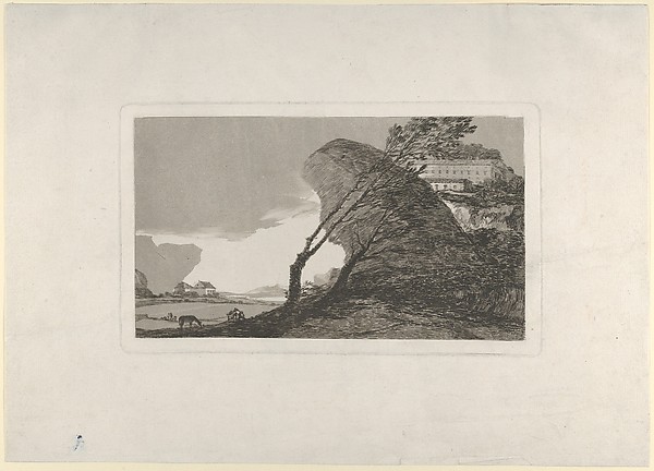 Landscape