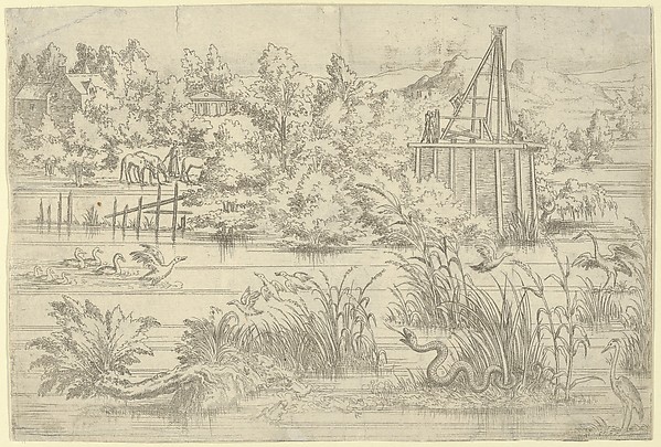 Riverbank with Serpent