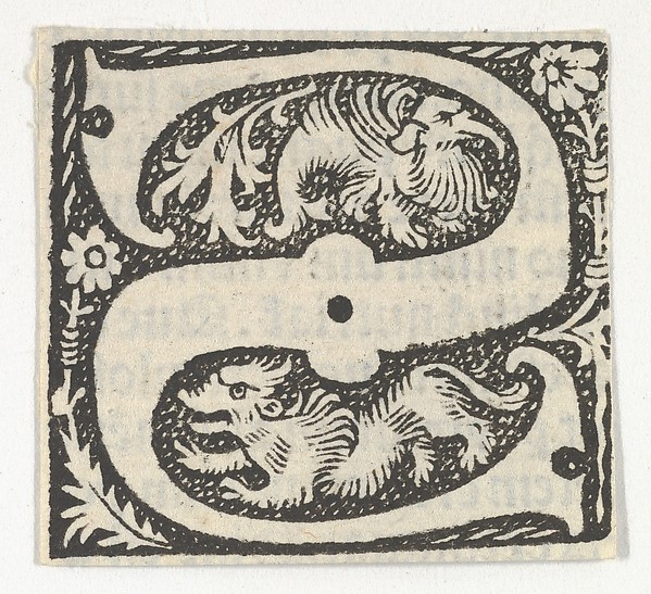 Decorated Roman alphabet