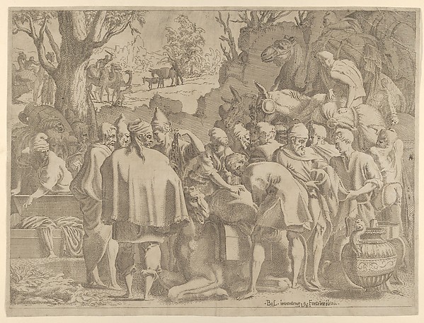 Men Gathered Around a Camel