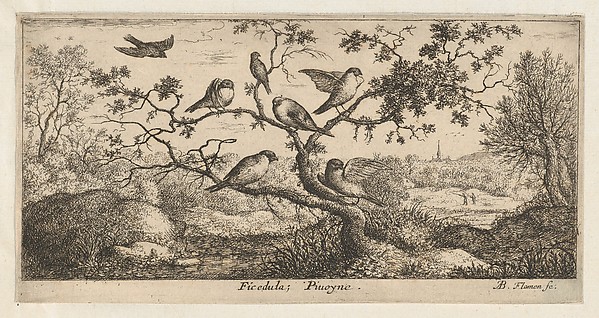 Ficedula, Piuoyne (The Bullfinch), from "Livre d'Oyseaux" (Book of Birds)
