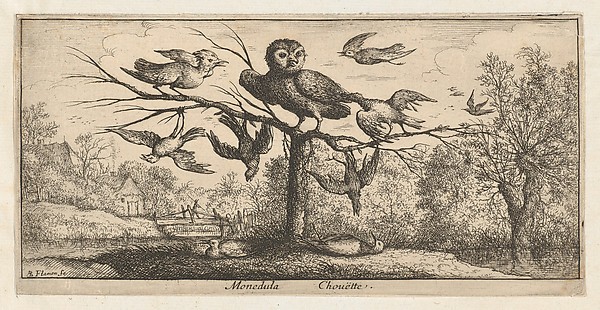 Monedula, Chouëtte (The Owl), from "Livre d'Oyseaux" (Book of Birds)