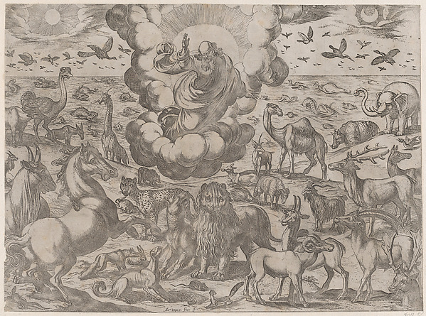 God Creating the Animals
