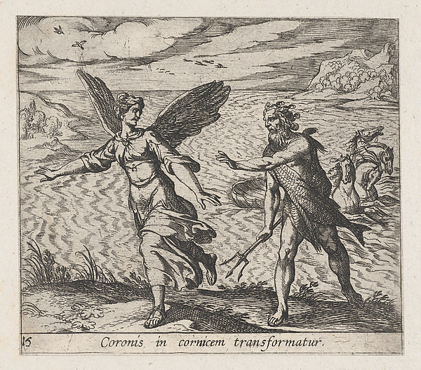 Plate 15: The Daughter of Croneus Changed into a Cow (Coronis in cornicem transformatur), from Ovid's 'Metamorphoses'
