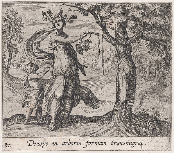 Plate 87: Dryope Changed into a Lotus Tree (Driope in arboris formam transmigrat), from Ovid's 'Metamorphoses'