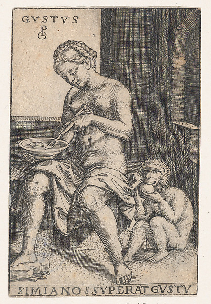 Taste (Gustus), from "The Five Senses"