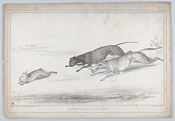 Coursing Extraordinary