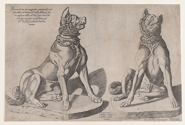 Speculum Romanae Magnificentiae: Two Dogs