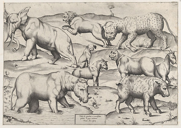 Speculum Romanae Magnificentiae: Wild Animals, from antique wall paintings, plate 2