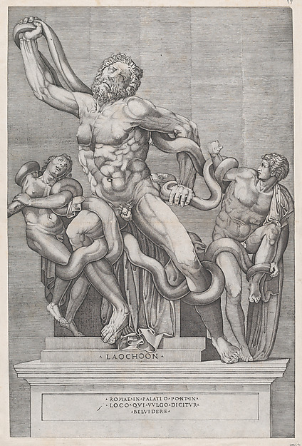 Speculum Romanae Magnificentiae: Laocoon