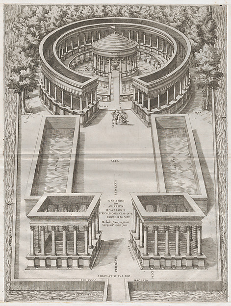 Ornithon Sive Aviarum, from "Speculum Romanae Magnificentiae"