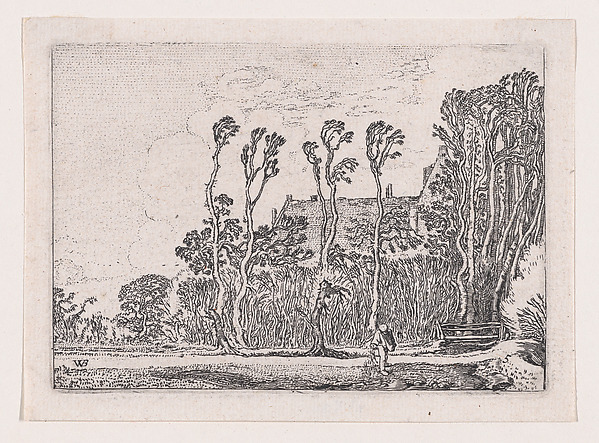 The Sower, from Verscheyden Landtschapjes (Various Little Landscapes), Plate 5