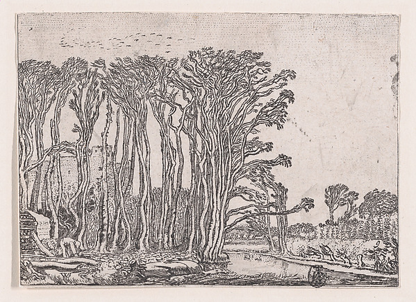 The Charcoal-Burner, from "Verscheyden Landtschapjes" (Various Little Landscapes), Plate 9